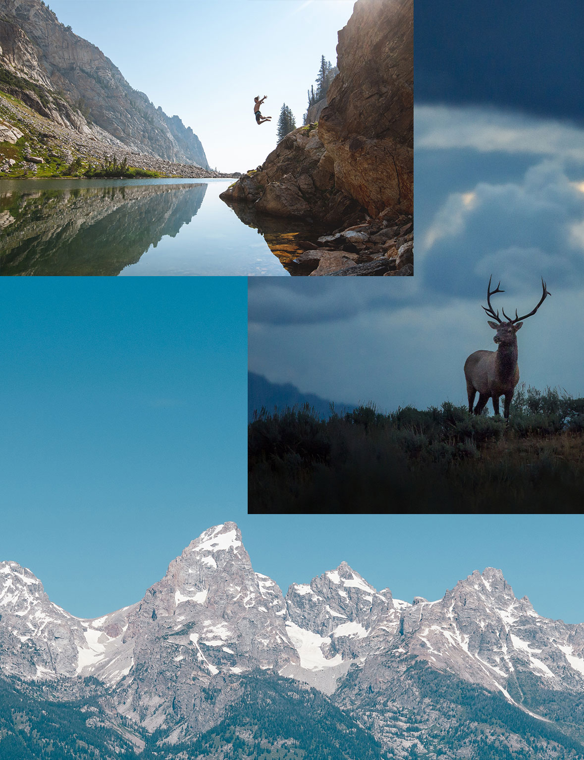 homepage collage